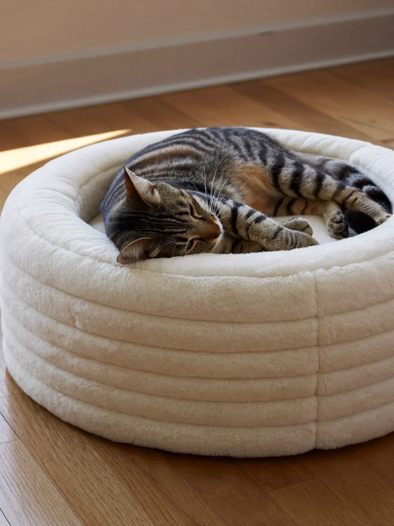Rundes Katzenbett in Haferfarbe mit schlafender Tigerkatze am Holzboden