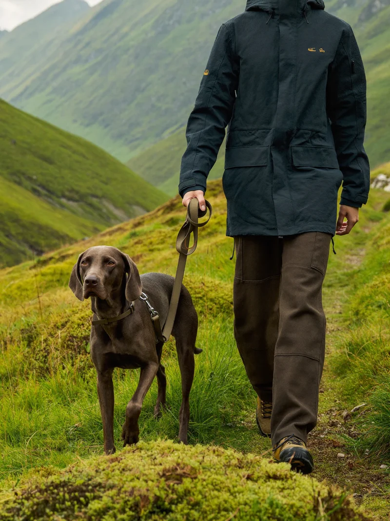Spaziergang mit Hund an der Leine über einen Wiesenweg im Voralpenland
